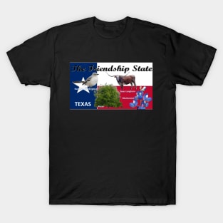 Texas State Flag and Symbols T-Shirt